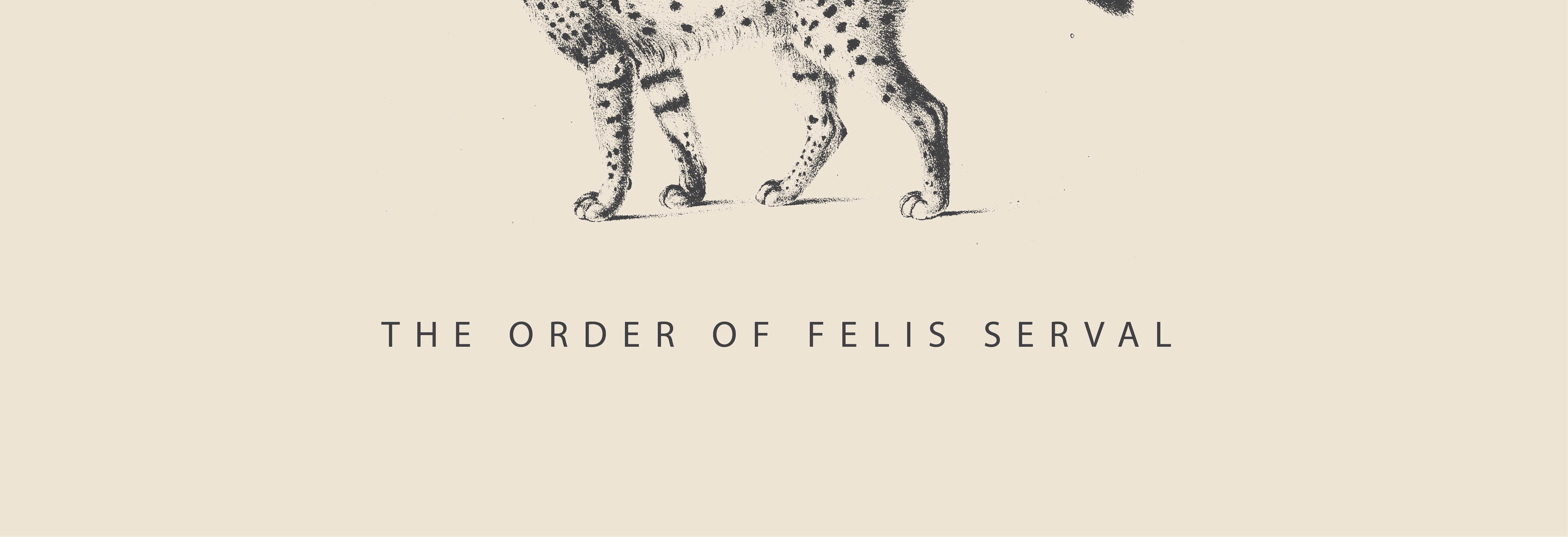 THE ORDER OF FELIS SERVAL