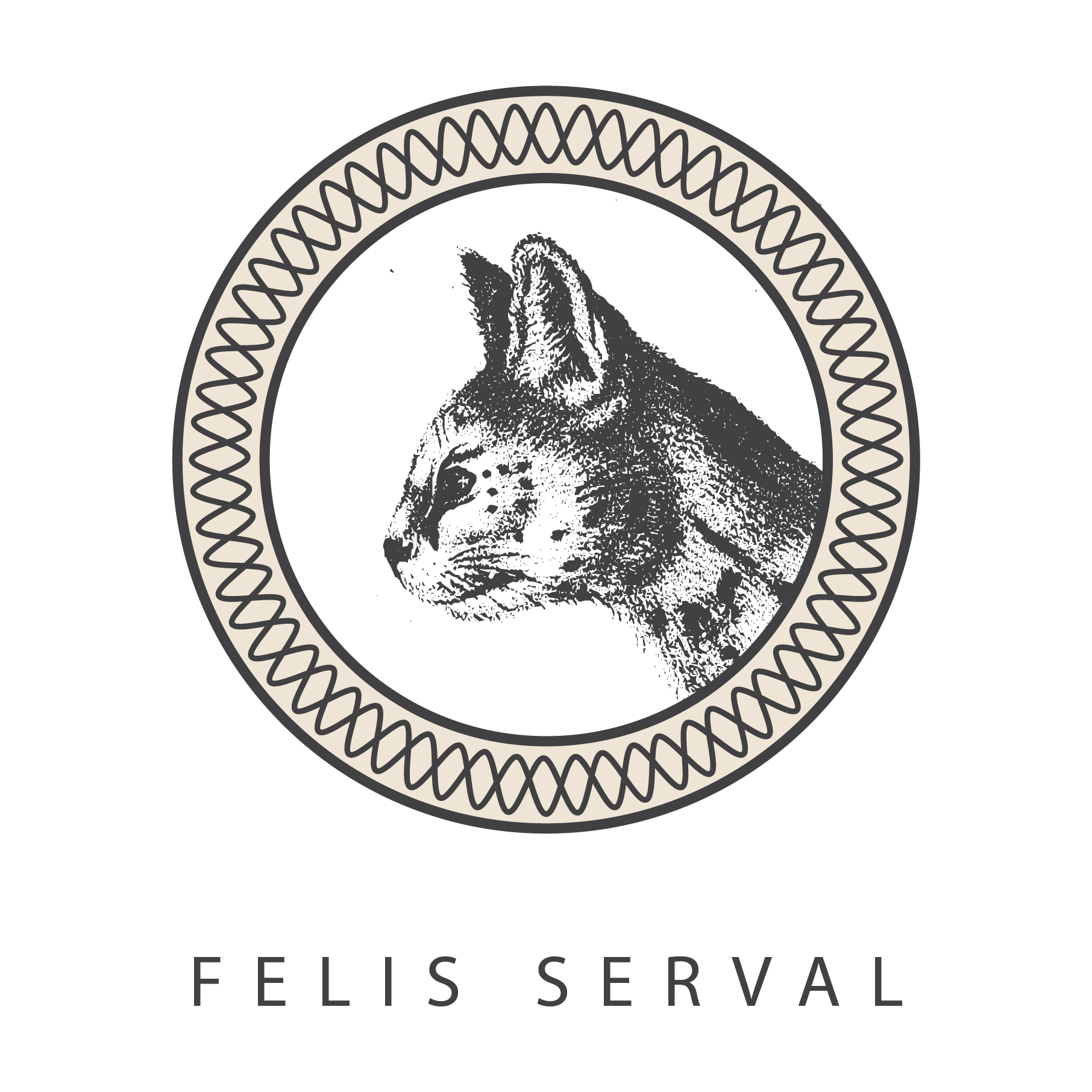 Felis Serval